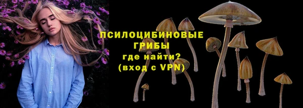 mdpv Куйбышев